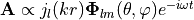 {\bf A} \propto j_l(kr) {\bf \Phi}_{lm}(\theta,\varphi) e^{-i\omega t}