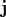 {\bf j}
