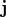 {\bf j}